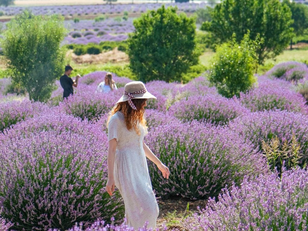 girl in a lavender farm