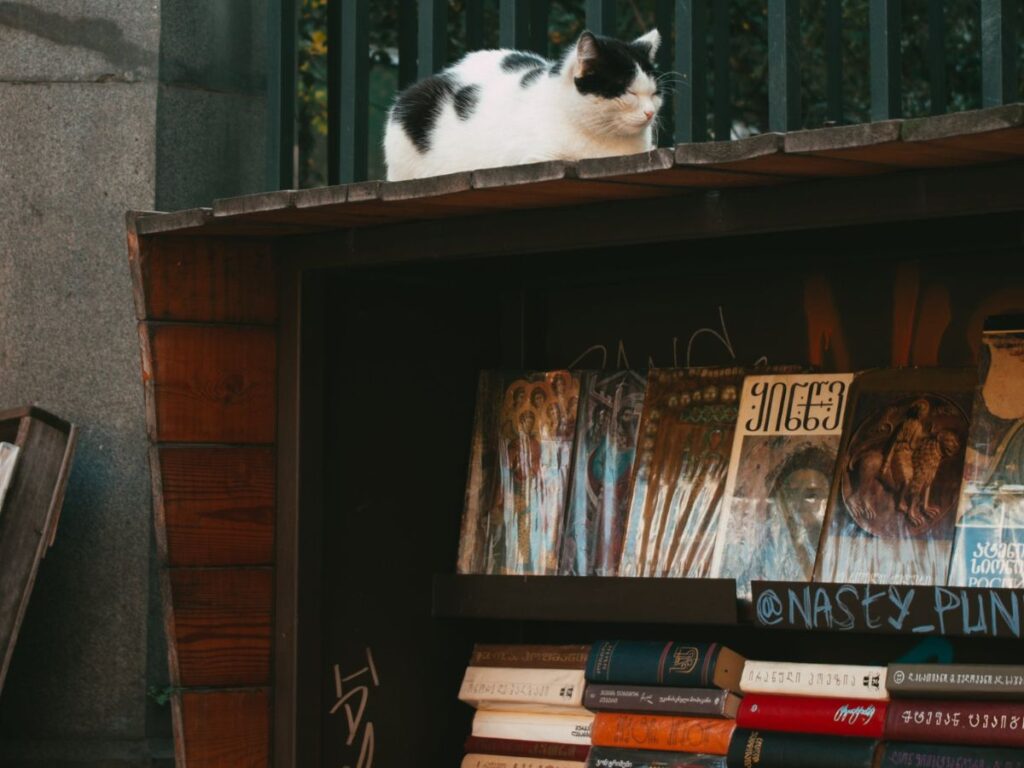 book shelf on street
