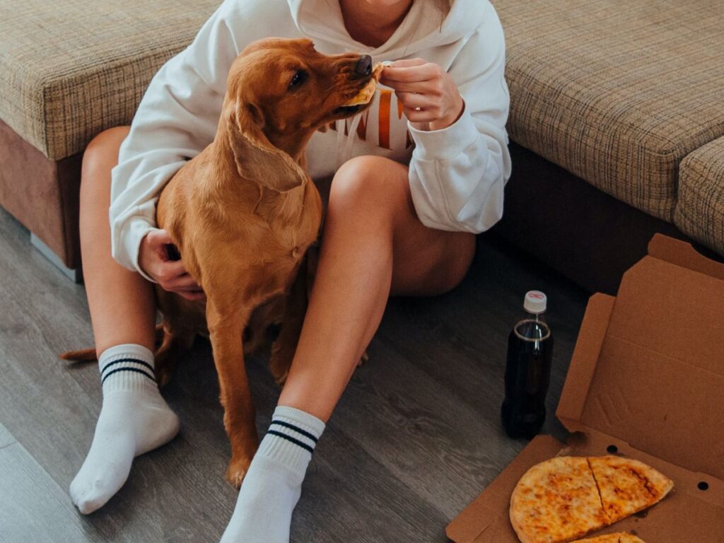 dog eating pizza