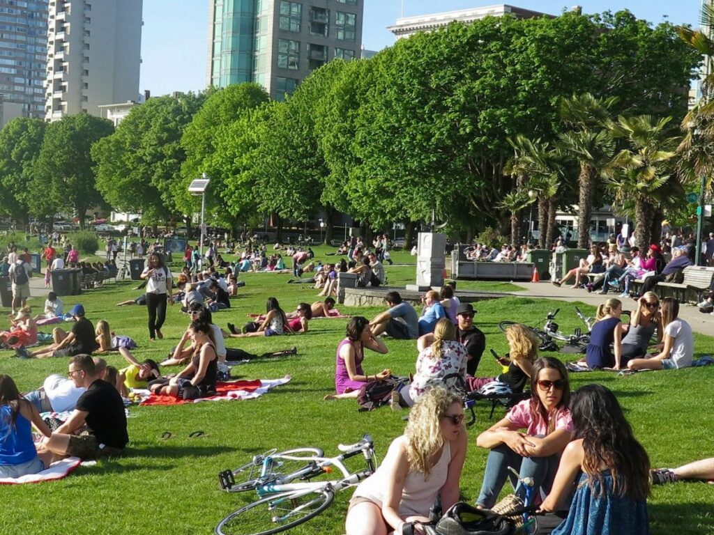 people in a park