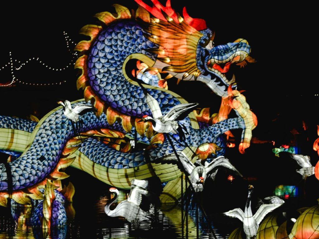 dragon festival