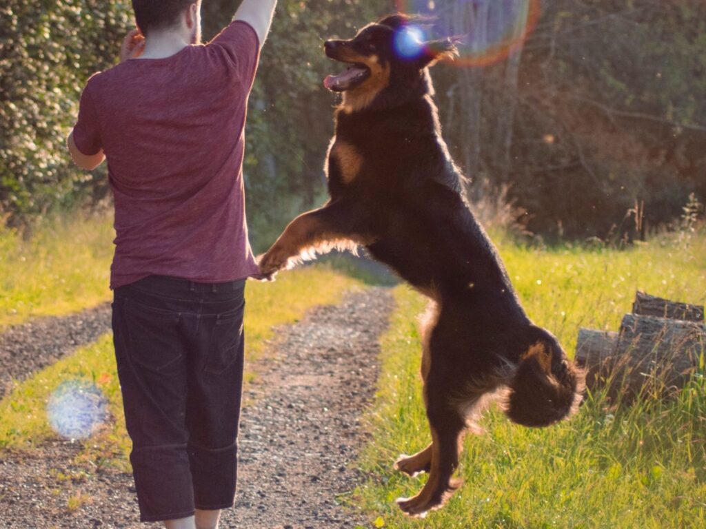 man playing with his dog