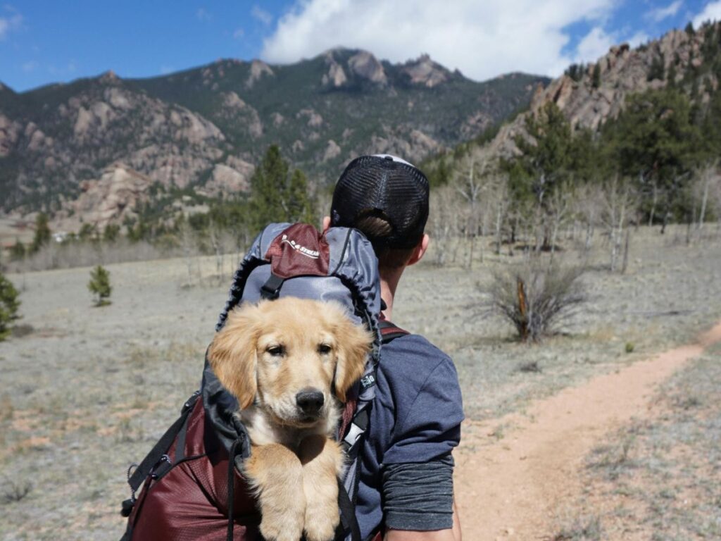 man hiking with his dog in backpack