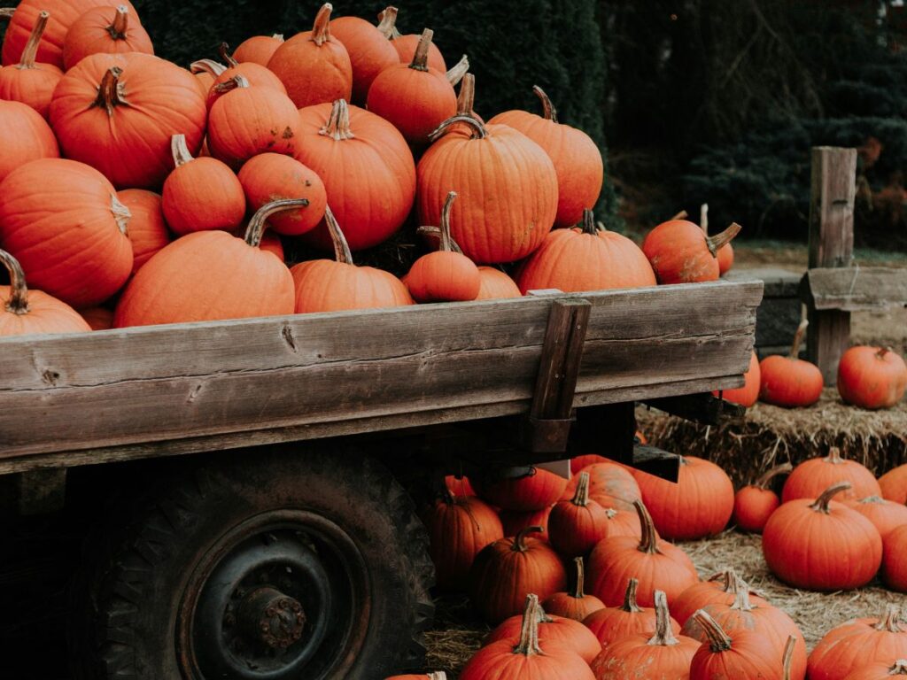 pumpkins in cart