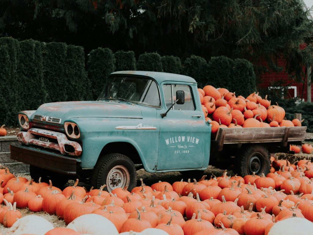 pumpkins in truck