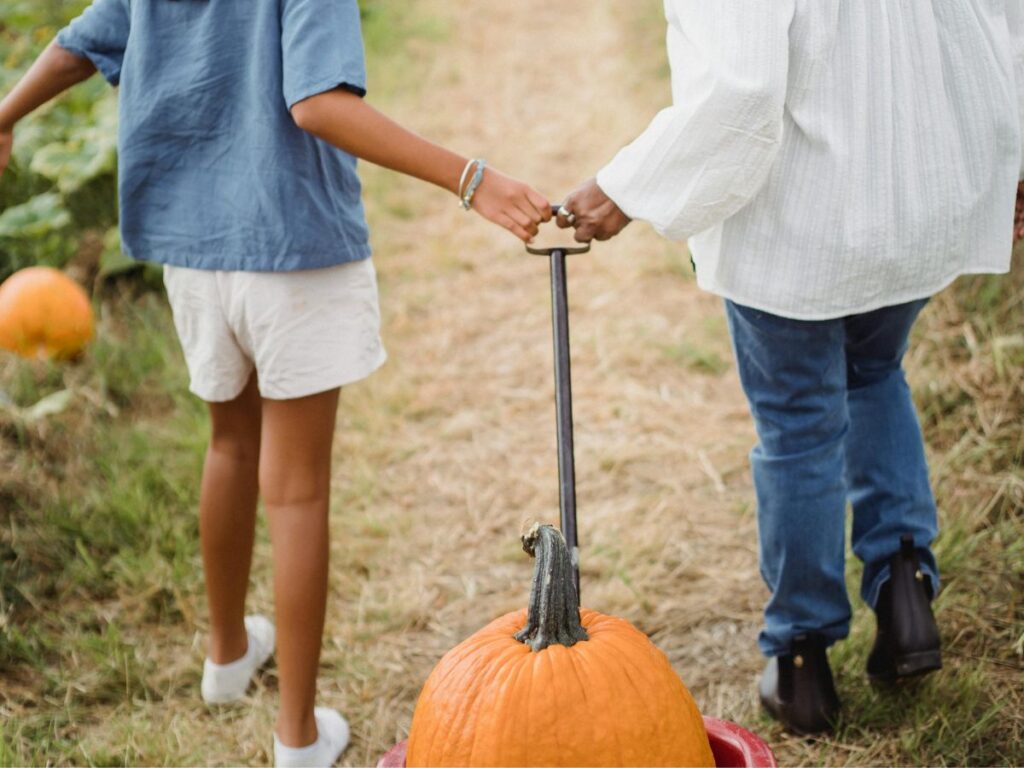 carrying pumpkin in trolley