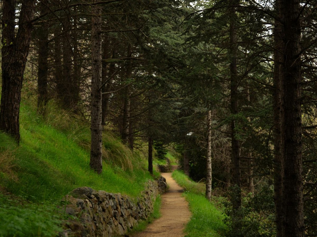 Explore 25 Hiking Trails in and Around Toronto – All Year Round