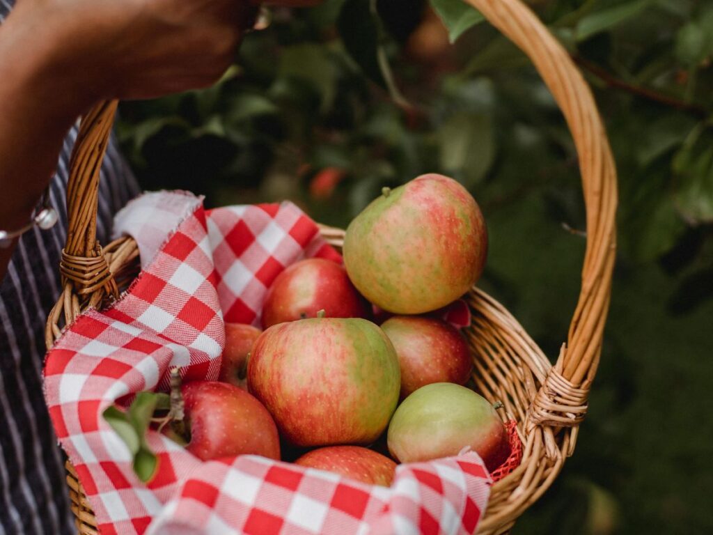 apples in a basket