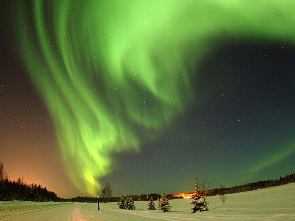 Northern Lights in snow