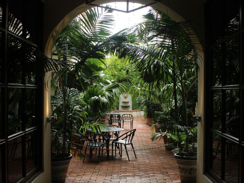 patio amidst greenery