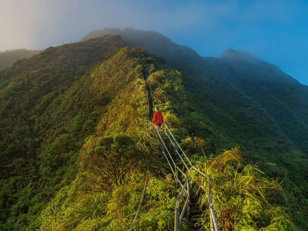 hiking trail