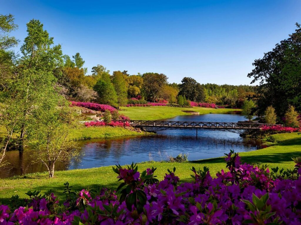 lake in park