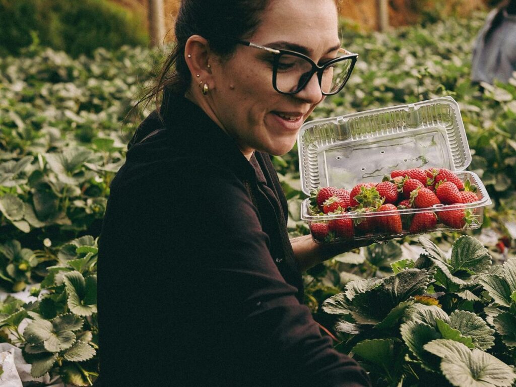 woman hand-picking strawberries