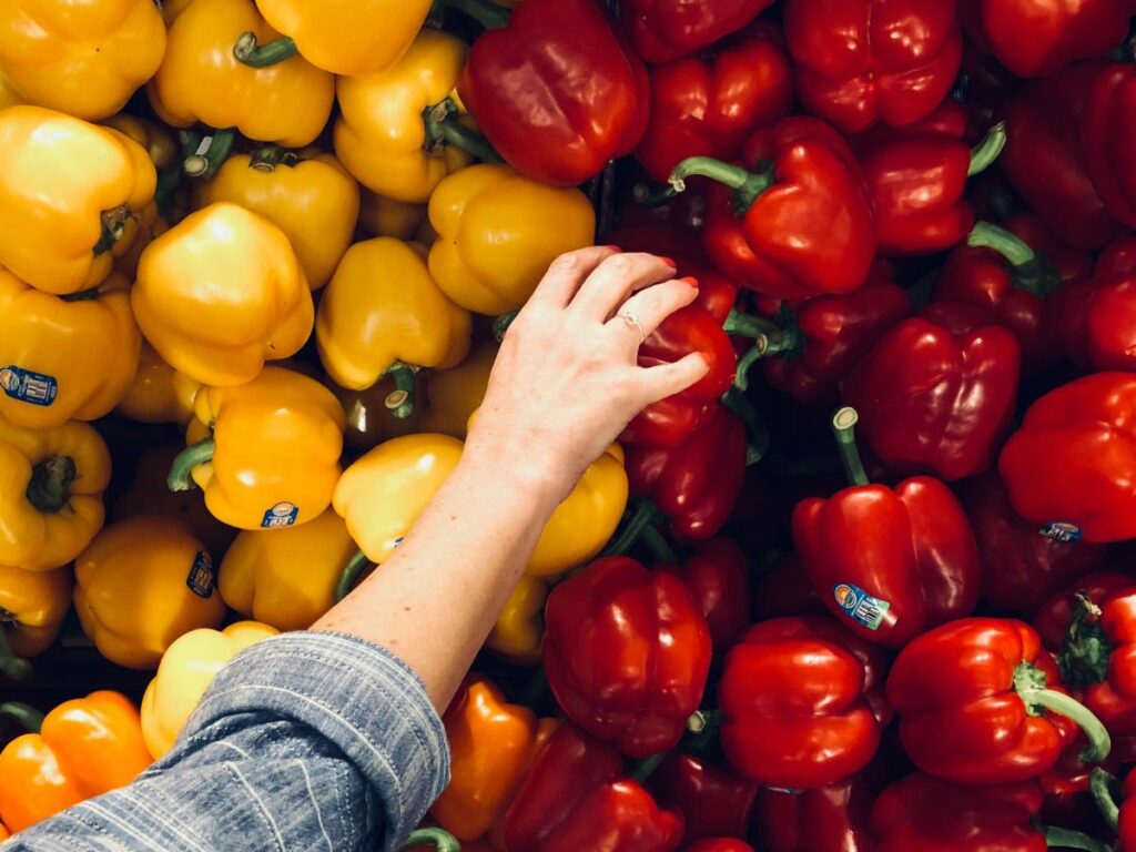 picking bell peppers