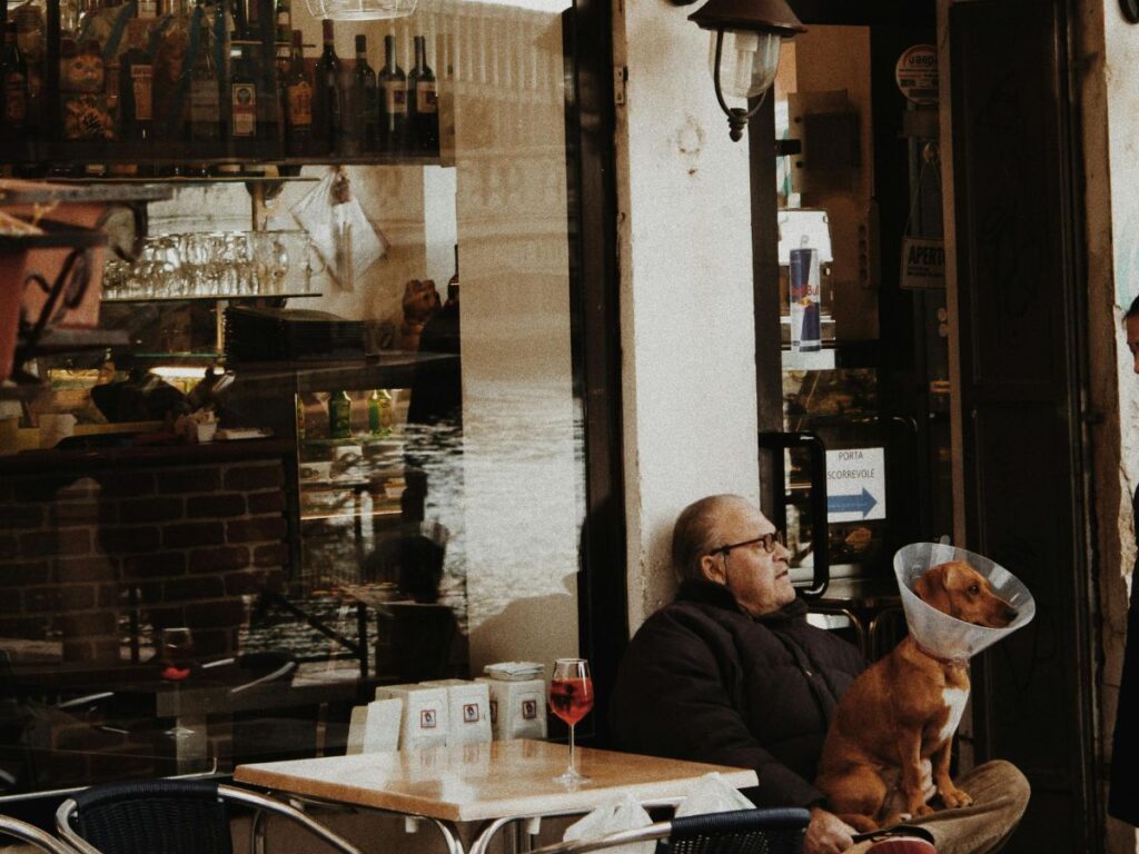 dog with owner sitting in a bar