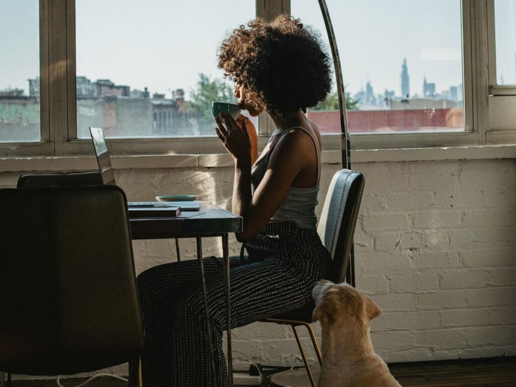 dog sitting in cafe with owner