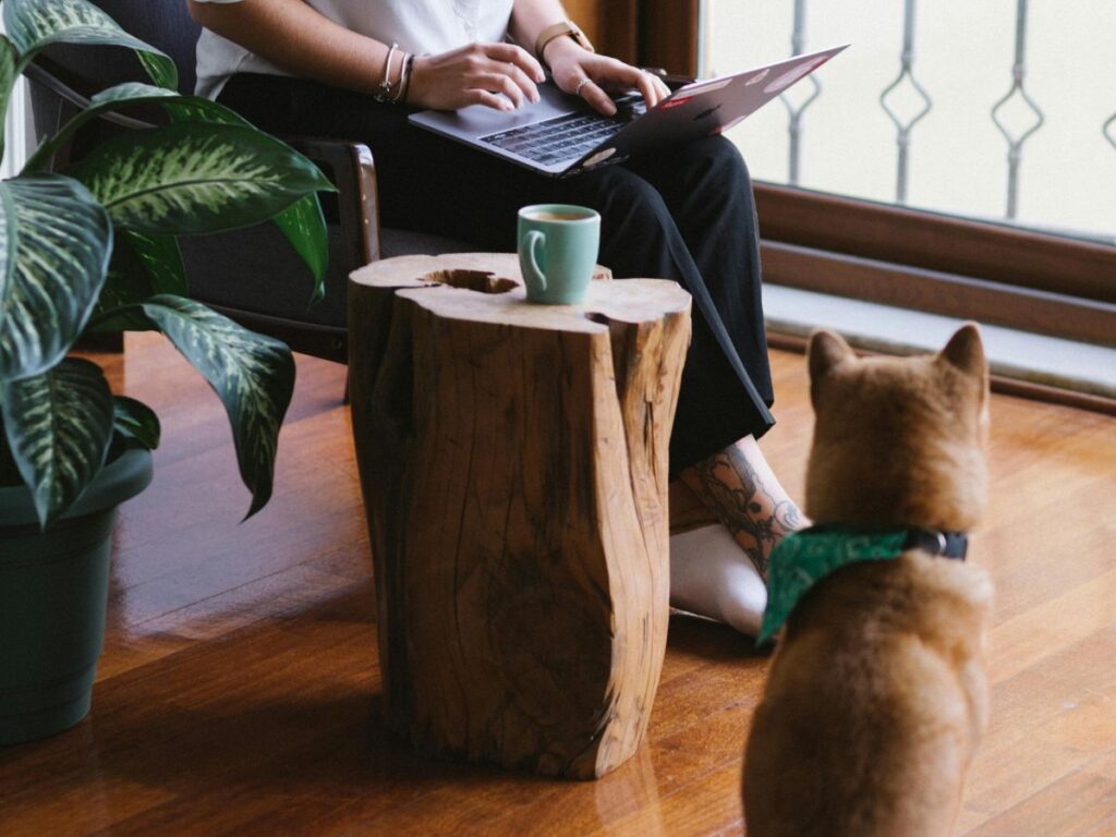 dog sitting near his owner