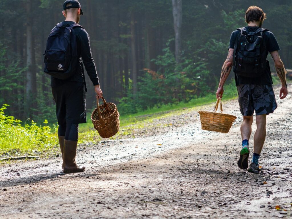 people carrying basket in a farm