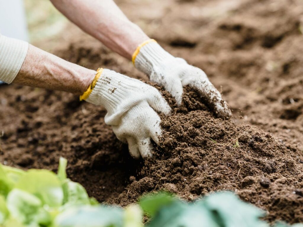 man fixing soil for plantation