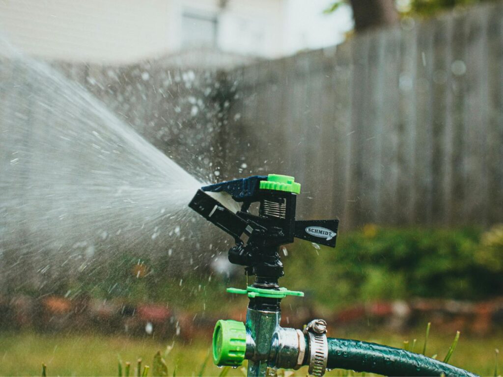 water sprinkler in backyard