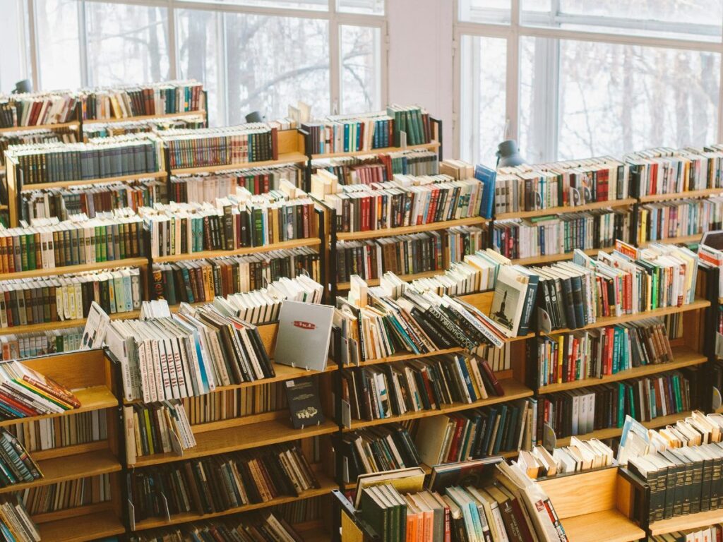 bookshelves in library