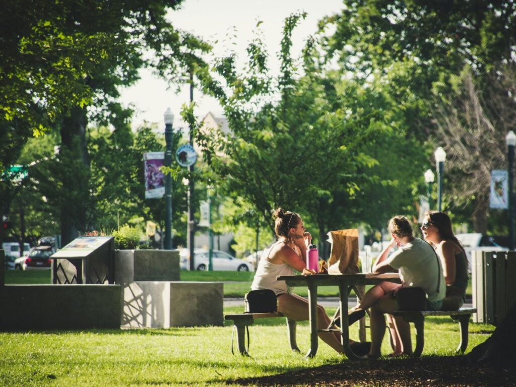 people sitting in a park