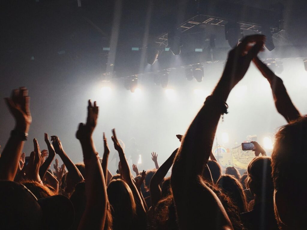 people enjoying concert