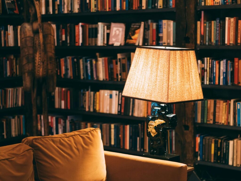 books sofa and lamp in a library