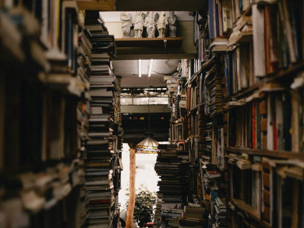 lots of books in a library