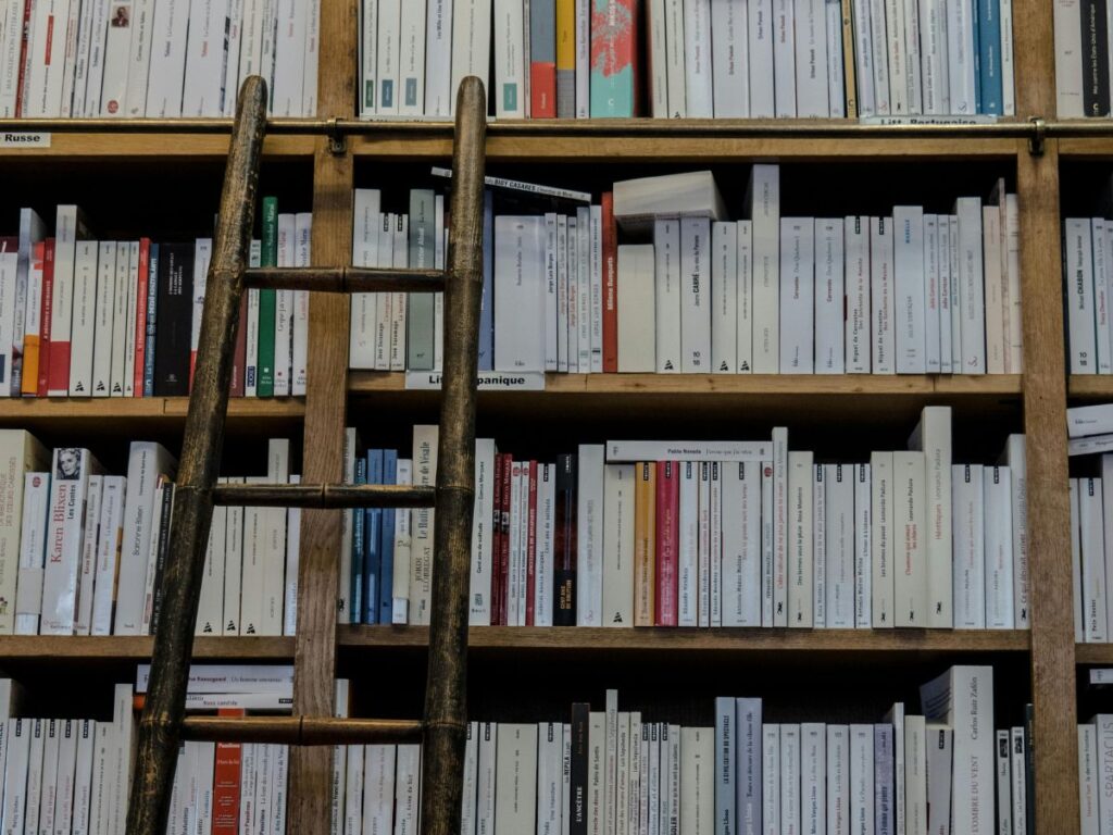 ladder along a book shelf