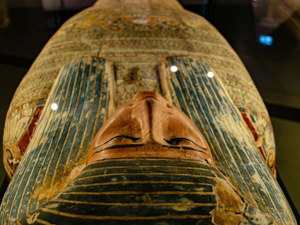 mummy in a museum