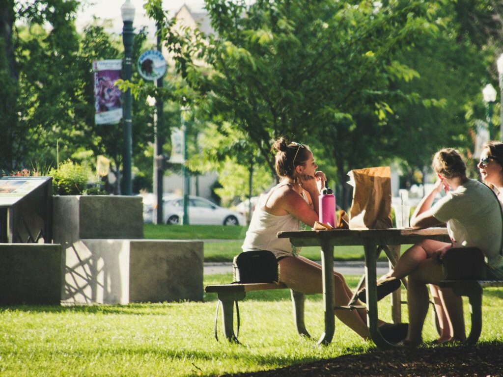 people sitting in a park