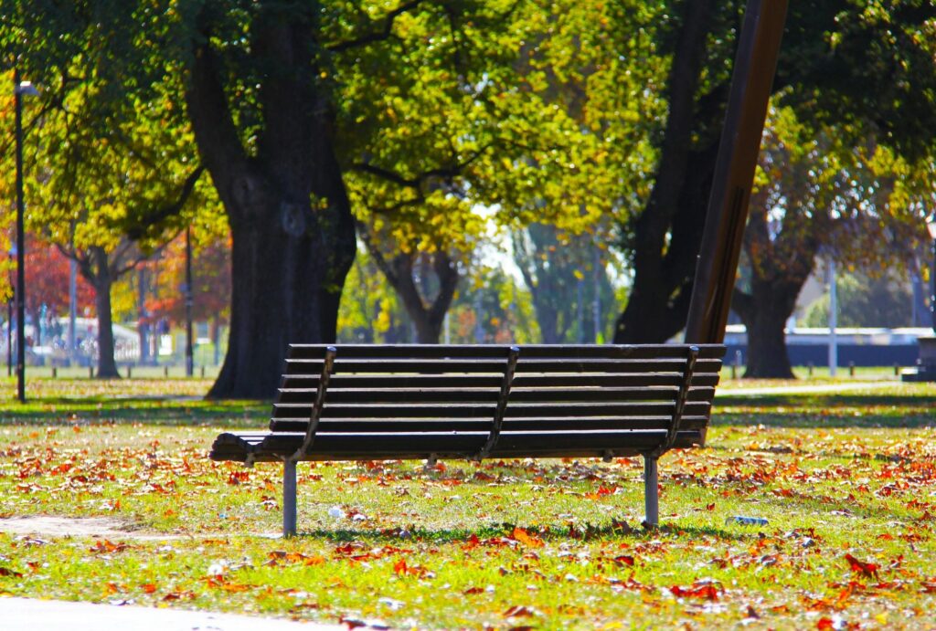 bench in a park