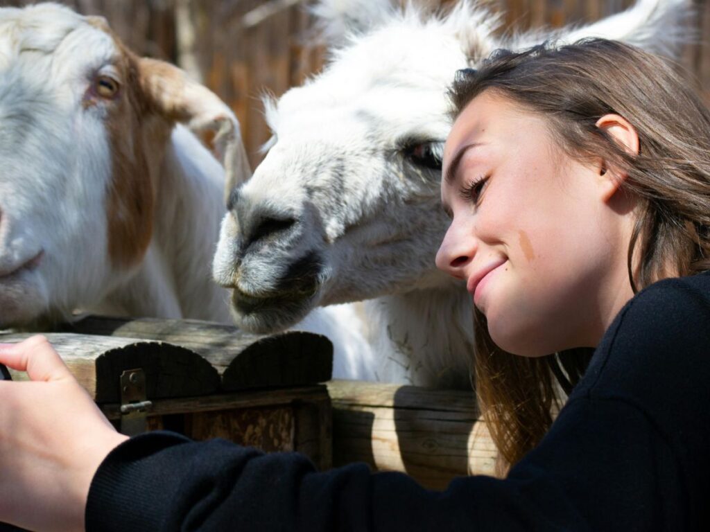 woman taking picture with a goat