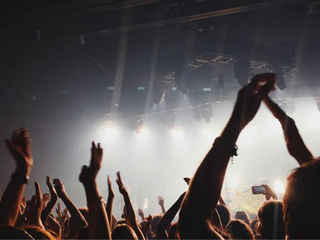 people enjoying concert