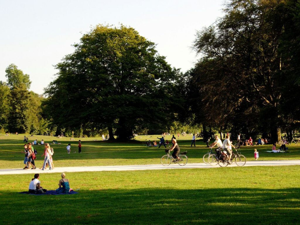 people in a park