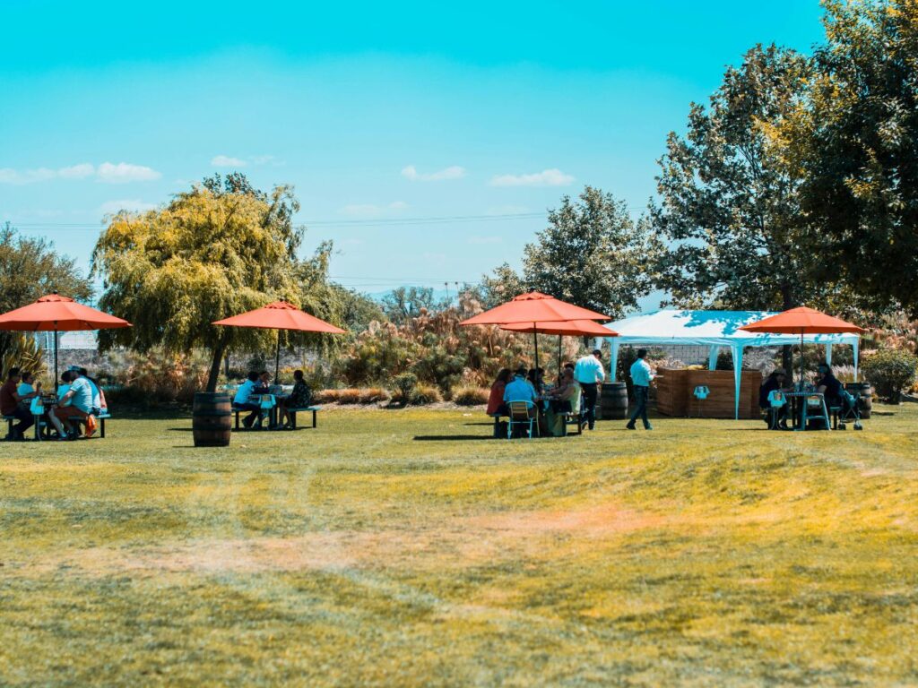 people sitting in shade in park