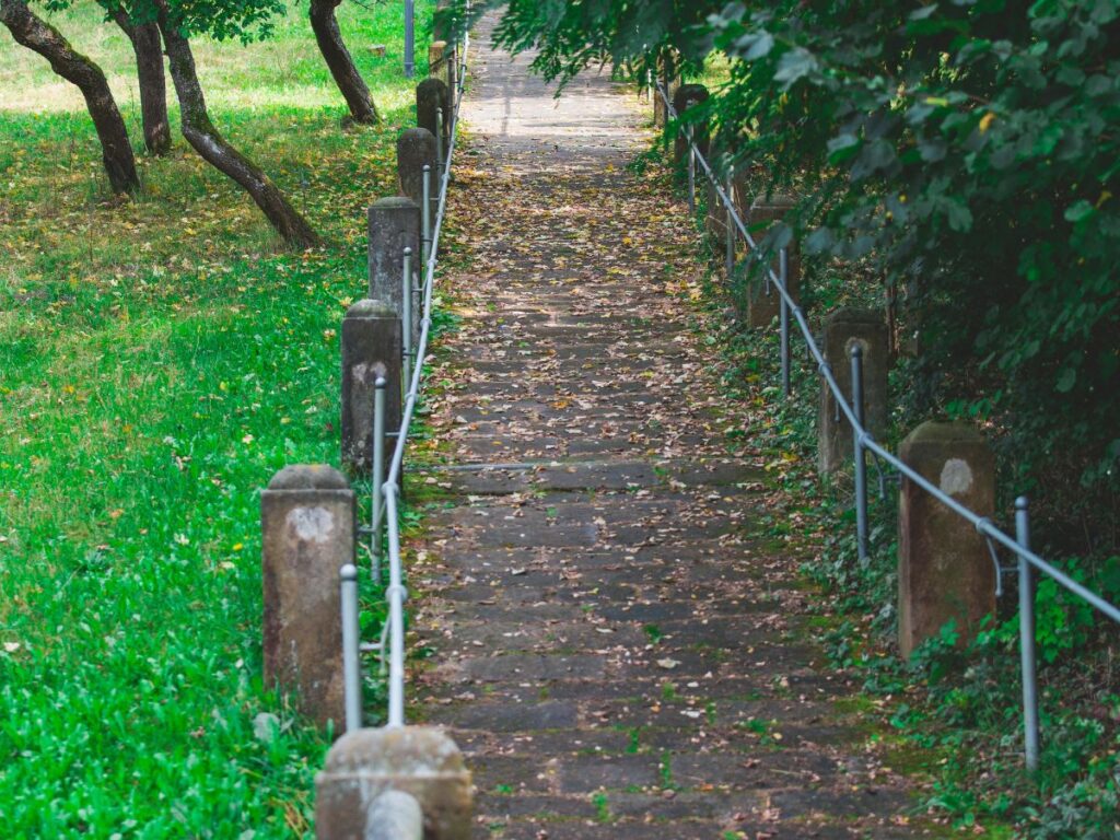 trail in park