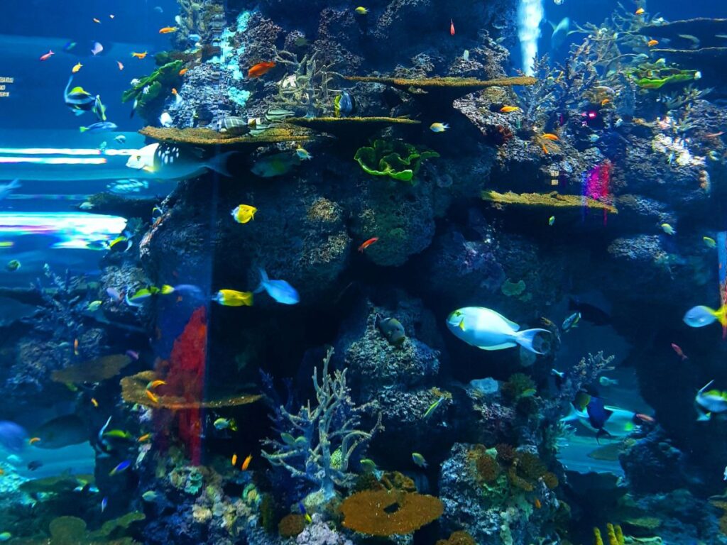 aquarium