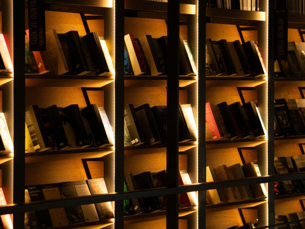 books in bookshelves