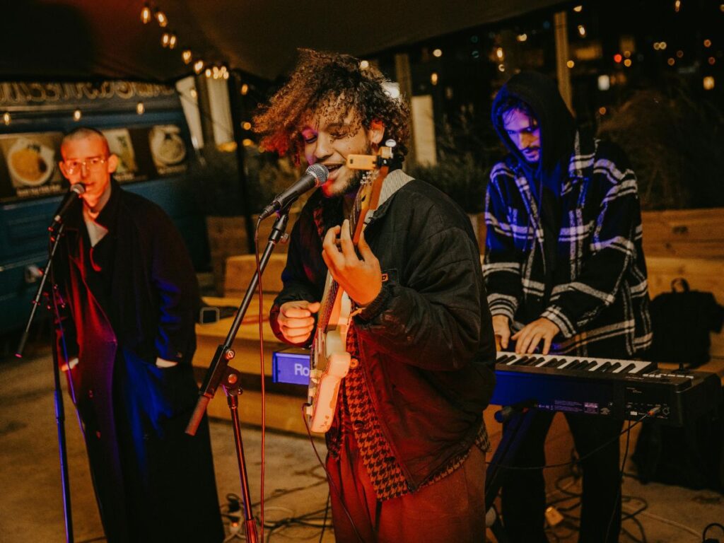 singers singing in a concert